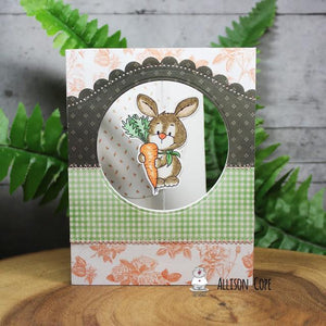 Fun Spinning Bunnies Card by Allison Cope