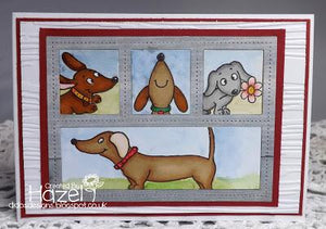 Dachshunds Family Album...