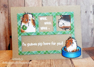Guinea Pig here for you!-Guest Designer Kimberly