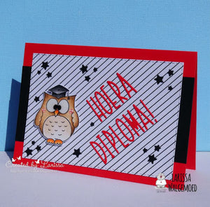 Graduation owl - Larissa