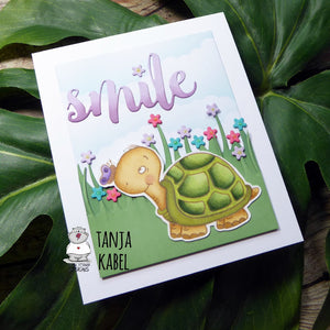 Smile Tortoise by Tanja Kable