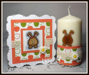 Hoppiness 4x6 Clear Stamp Set - Clearstamps - Clear Stamps - Cardmaking- Ideas- papercrafting- handmade - cards-  Papercrafts - Gerda Steiner Designs